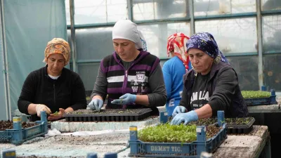 Başta Erzincan olmak üzere Doğu Anadolu ve Doğu Karadeniz Bölgelerinde
