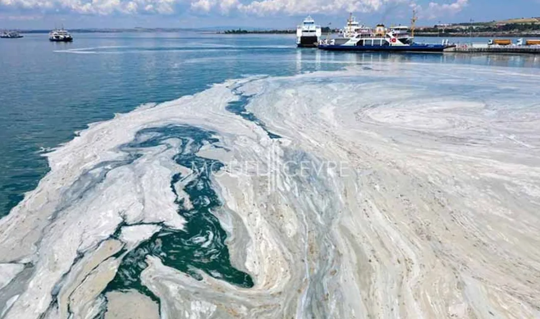 Marmara Denizi’nde müsilaj tehdidi geri mi dönüyor? Müsilajın dipte yoğunlaştığı,