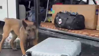 Erzurum Emniyet Müdürlüğü Narkotik Suçlarla Mücadele Şube Müdürlüğü ekiplerince yolcu