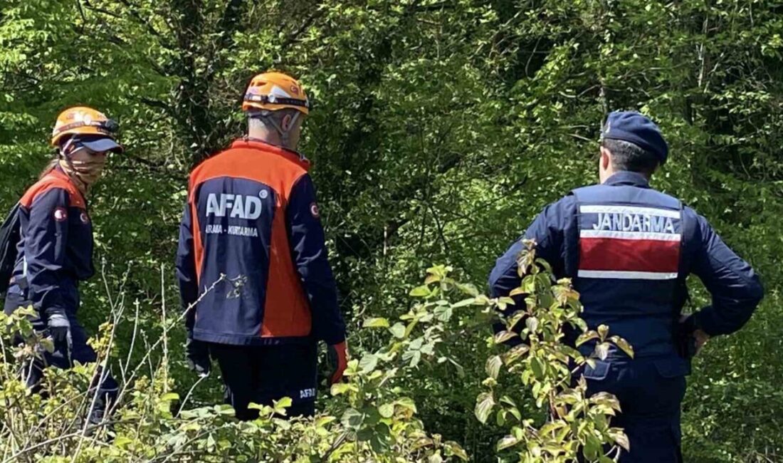 Kocaeli’de yaşayan Emirhan Bozkurt, 8 Mart’ta “Çarşıya gidiyorum” diyerek evden