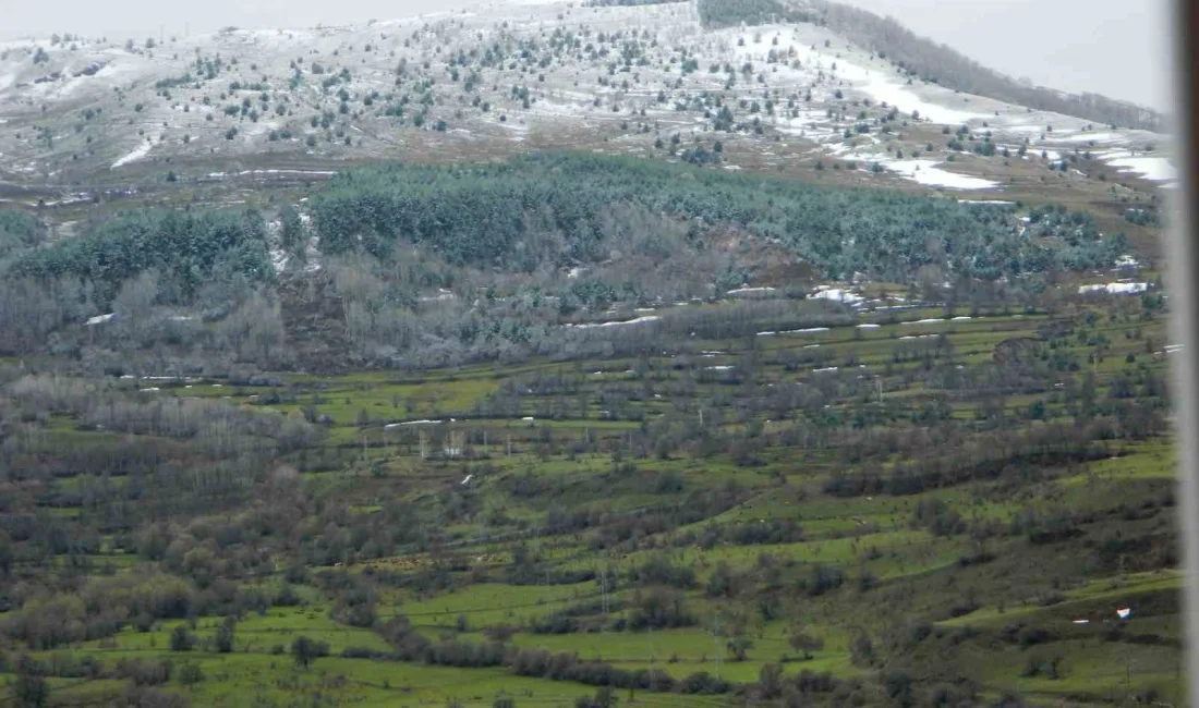 Ardahan’ın Posof ilçesinde bahar mevsimi olmasına rağmen yüksek kesimlerde kar