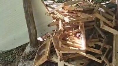 Rize’de ayı girdiği soğuk hava deposunda bal üreticisinin ürünlerini talan