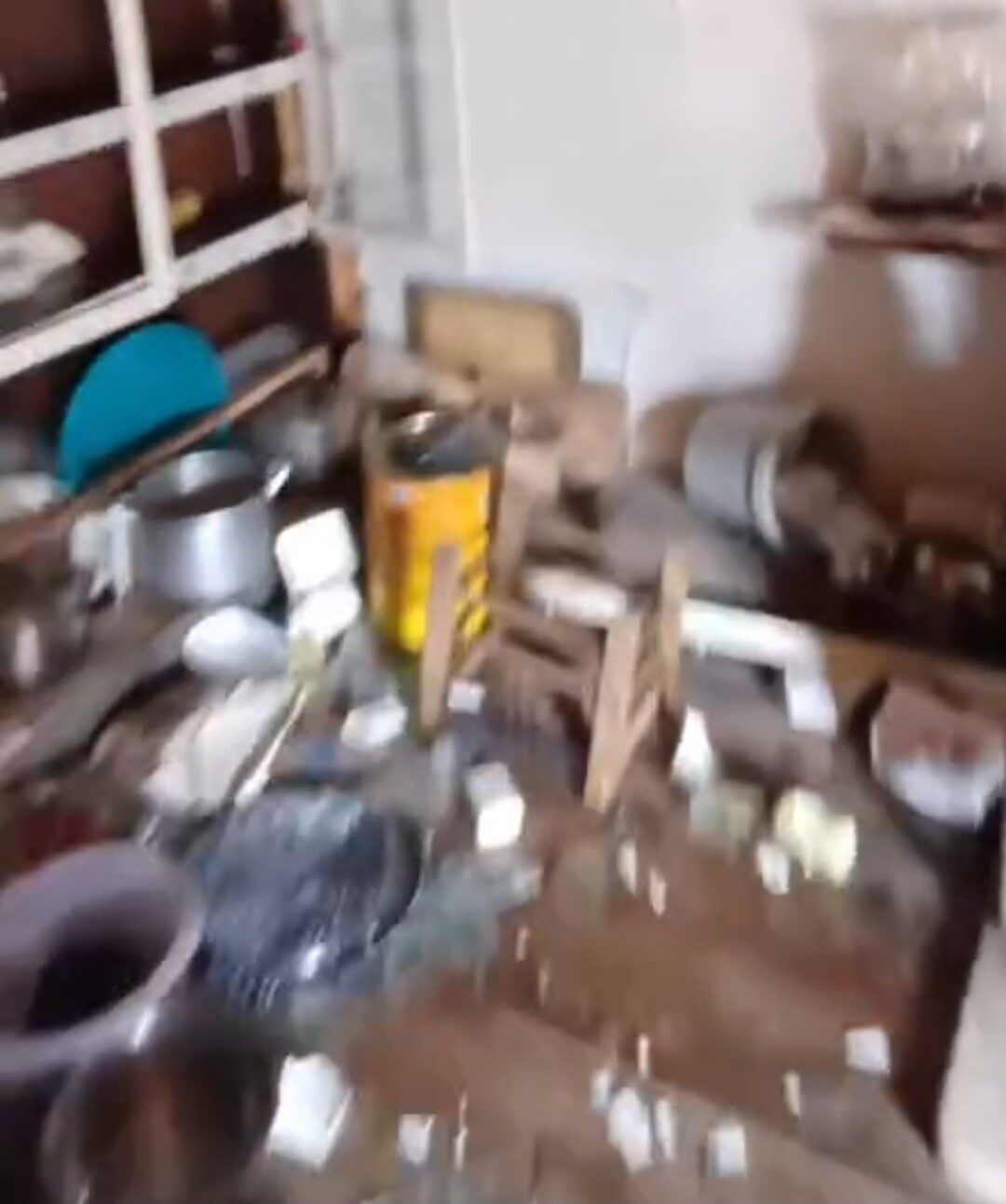Rize’de kış uykusundan uyanarak yiyecek arayan ayılar, girdiği yayla evine