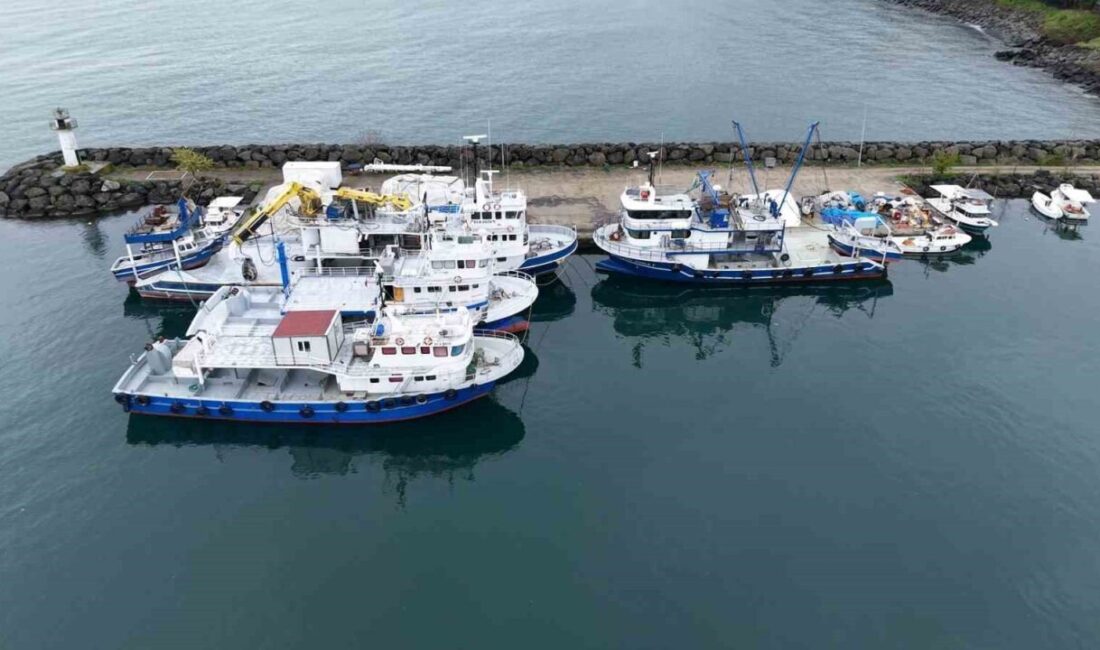 Türkiye’de bin 600 kadar endüstriyel balıkçı teknesi bulunurken bu tekneler