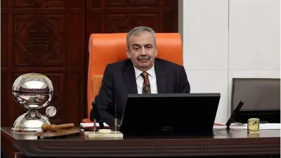 Türkiye Büyük Millet Meclisi Başkanvekili ve DEM Parti İstanbul Milletvekili