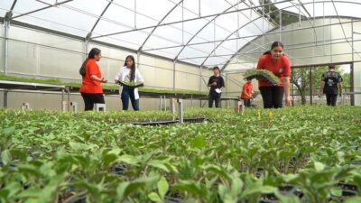 Erzincan’da Gül Celal Toraman Mesleki ve Teknik Anadolu Lisesi öğrencileri