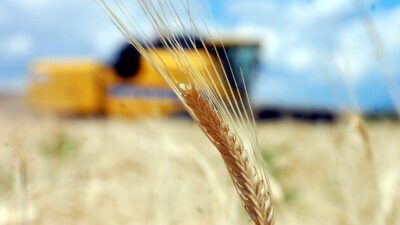 Tarımsal girdi fiyat endeksi (Tarım-GFE) yıllık yüzde 28,92 arttı, aylık