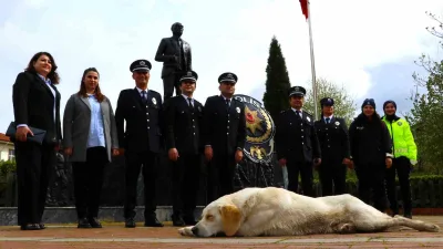 Amasya’nın Taşova ilçesinde Türk Polis Teşkilatı’nın 180. kuruluş yıl dönümü