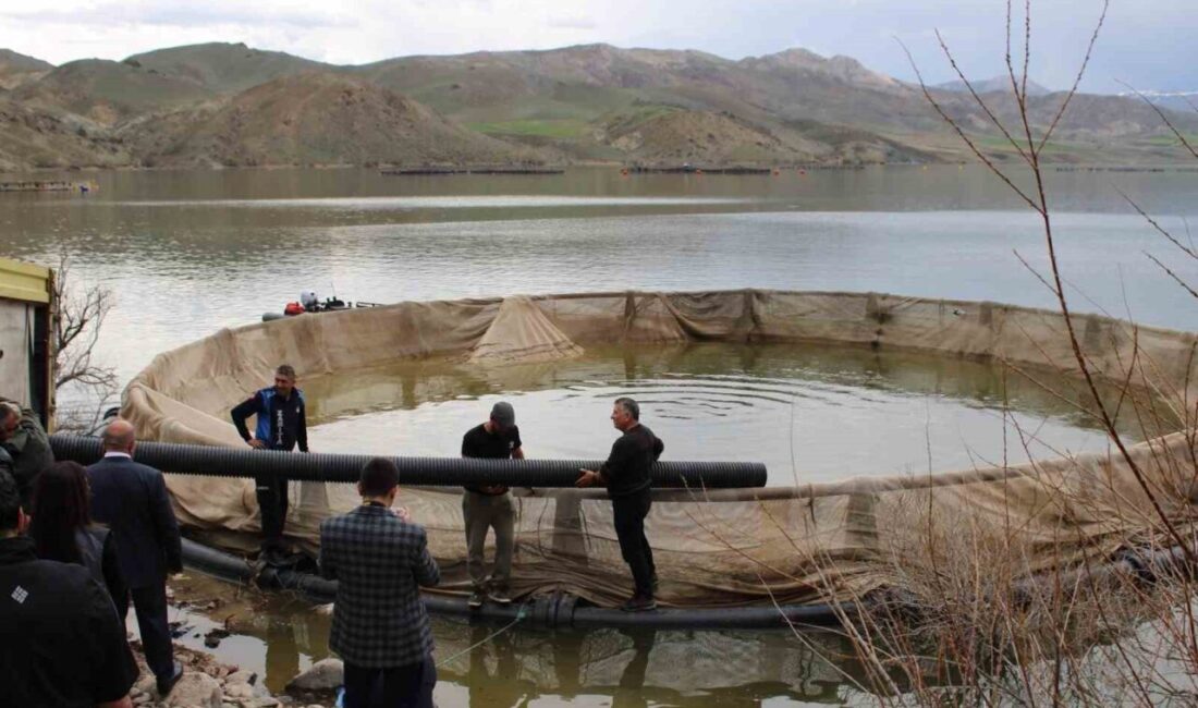Erzincan’ın Tercan ilçesinde bulunan Tuzla çayı üzerindeki Tercan Barajı su