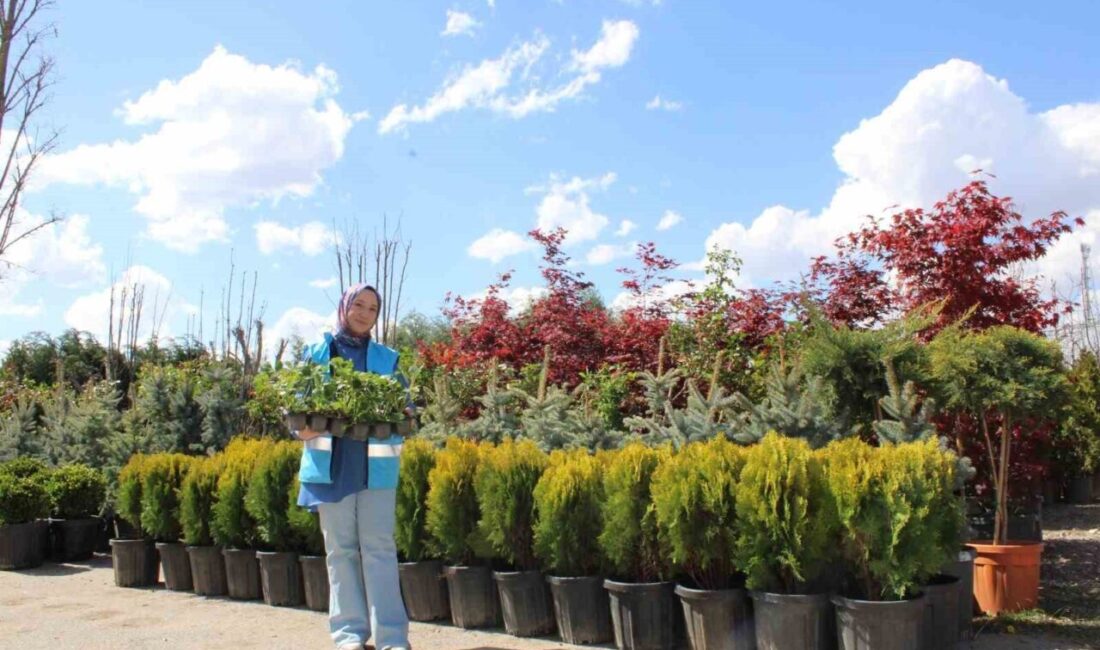 Erzincan Gençlik ve Spor İl Müdürlüğüne bağlı olarak hizmet veren