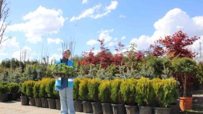 Erzincan Gençlik ve Spor İl Müdürlüğüne bağlı olarak hizmet veren