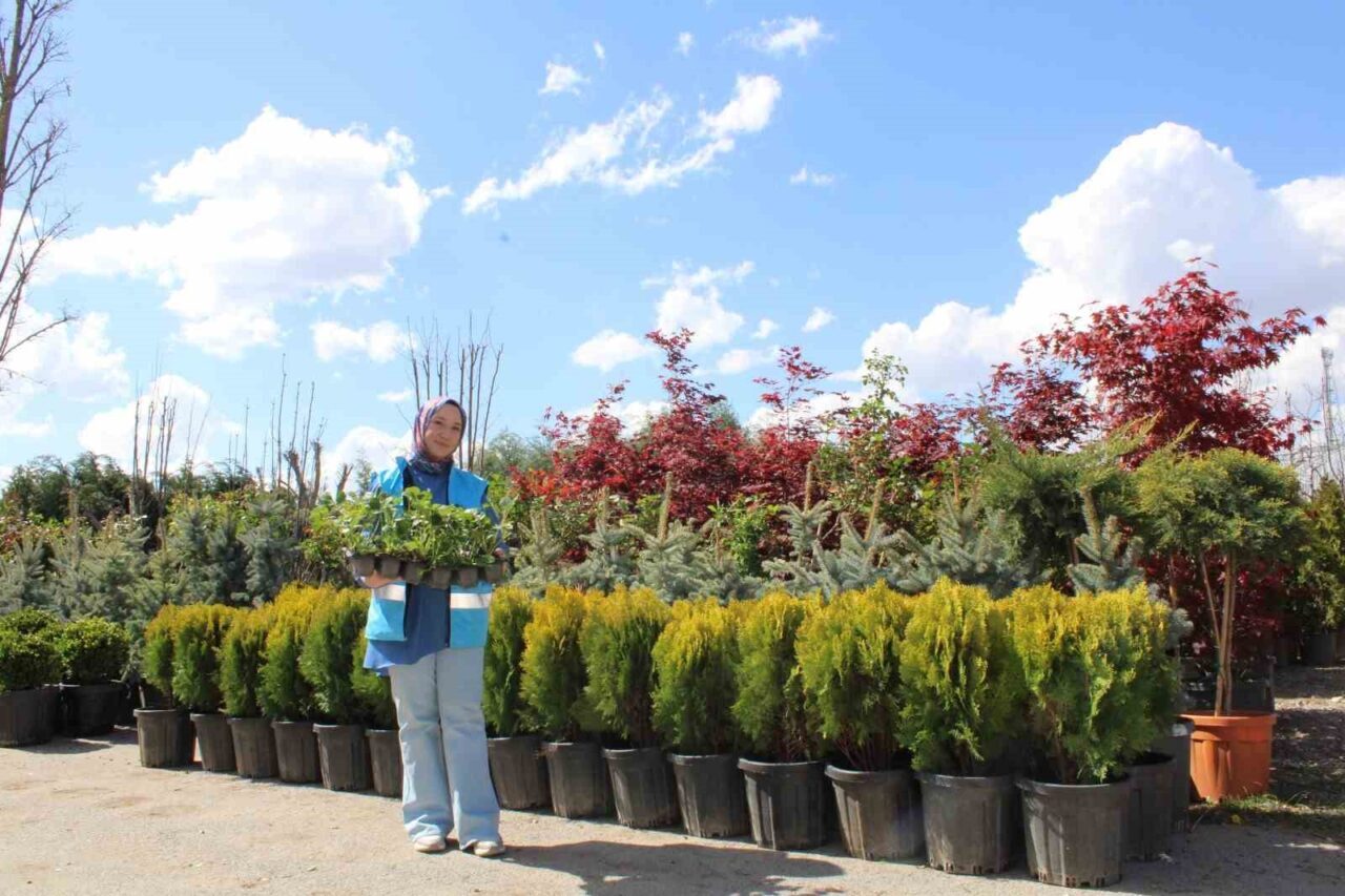 Erzincan Gençlik ve Spor İl Müdürlüğüne bağlı olarak hizmet veren