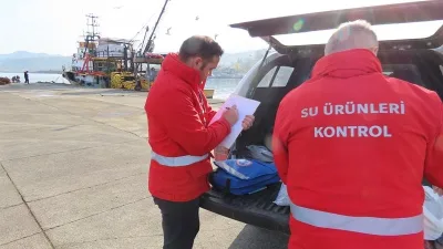 Trabzon’da 2024-2025 balık avı sezonu boyunca bin 248 denetim gerçekleştirilirken,