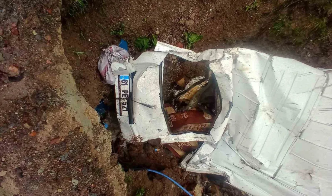 Trabzon’un Şalpazarı ilçesinde meydana gelen trafik kazasında 1 kişi yaralandı.