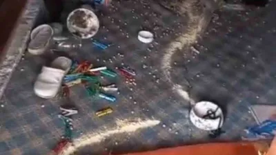 Trabzon'un Araklı ilçesinde kış uykusundan uyanan ayılar köy evlerine dadanarak