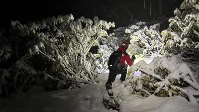 Artvin’in Gürcistan sınırında, yasa dışı yollarla Türkiye’ye giriş yaptıktan sonra