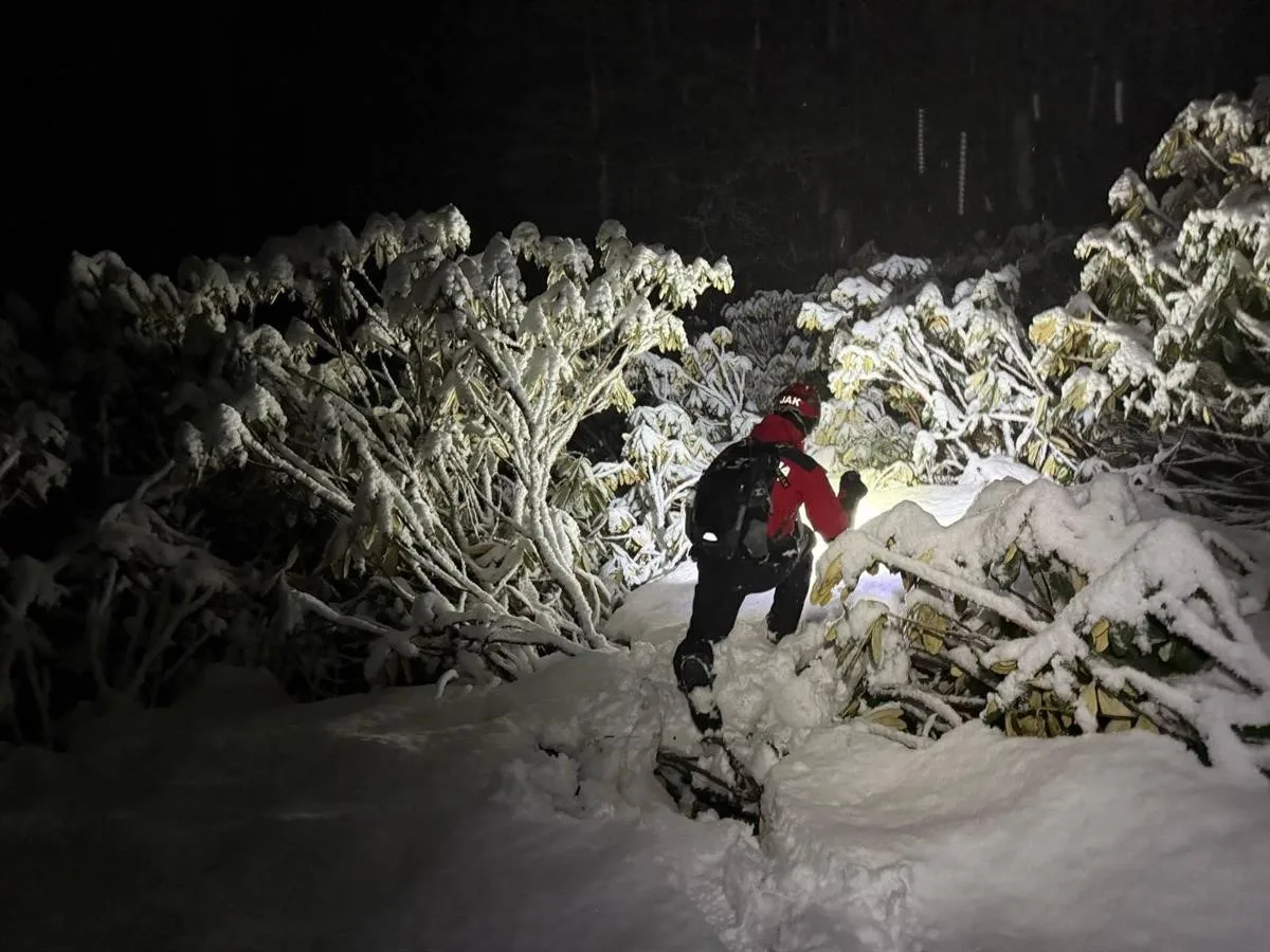 Artvin’in Gürcistan sınırında, yasa dışı yollarla Türkiye’ye giriş yaptıktan sonra