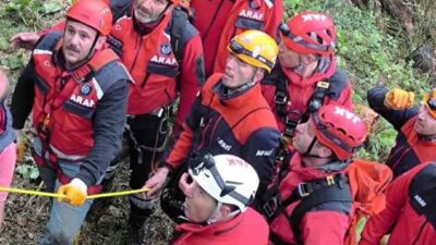 Rize’de ağaç kesimi sırasında bir kişi, üzerine ağaç devrilmesi sonucu