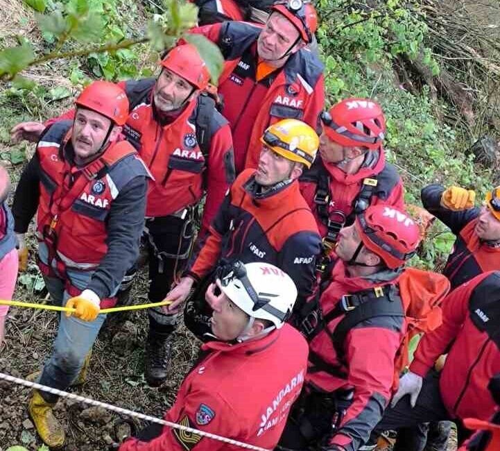 Rize’de ağaç kesimi sırasında bir kişi, üzerine ağaç devrilmesi sonucu