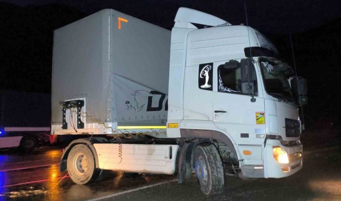 Erzurum’un Uzundere ilçesinde, tünel çıkışında İran uyruklu tır sürücüsü direksiyon