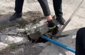 Sivas'ta yavru ördek yağmur suyu tahliye hattına düştü. İtfaiye ekipleri,