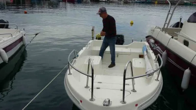 Karadeniz'de, Faroz limanı açıklarında balıkçı teknesine eşlik eden yunuslar renkli
