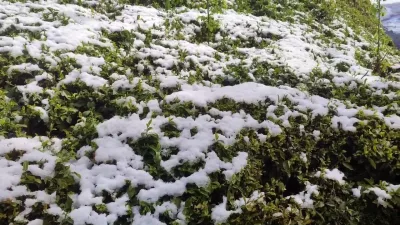 Yurt genelinde etkili olan soğuk ve kar yağışı bir çok