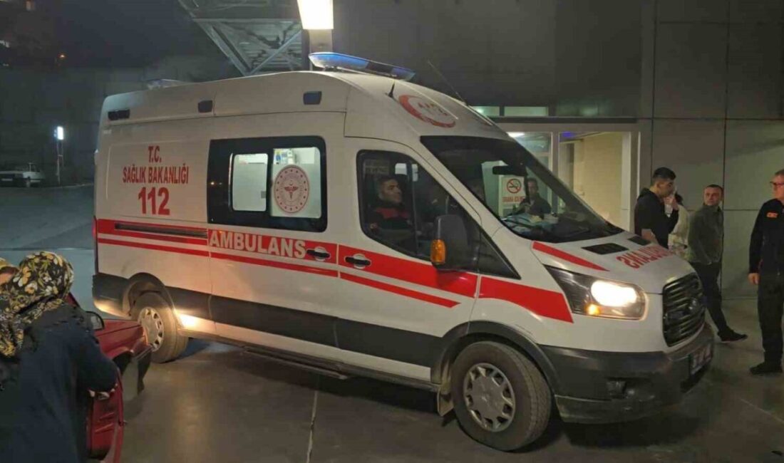 Zonguldak’ın Karadeniz Ereğli ilçesinde ikinci kattaki evin balkonundan düşen 3