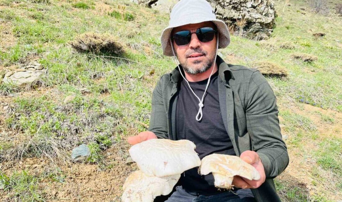 Erzincan’da Keşiş Dağına çıkan bazı vatandaşlar, 20 kilometre yol kat