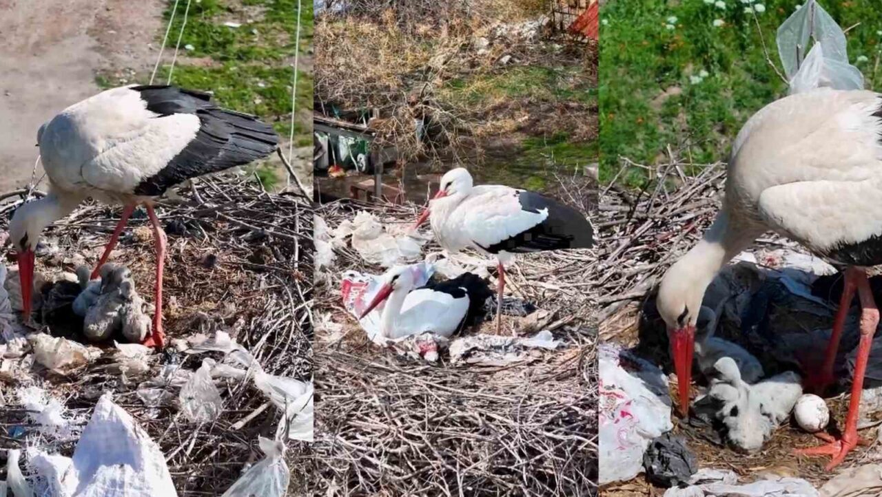 Erzincan Kilimli köyünde, 10 yılı aşkın süredir göç etmeyen ve