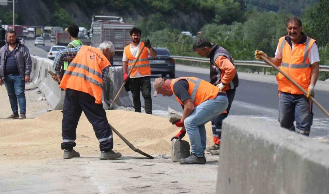 D-650 kara yolunun Sakarya Geyve geçişinde yan yatarak Bilecik istikametini