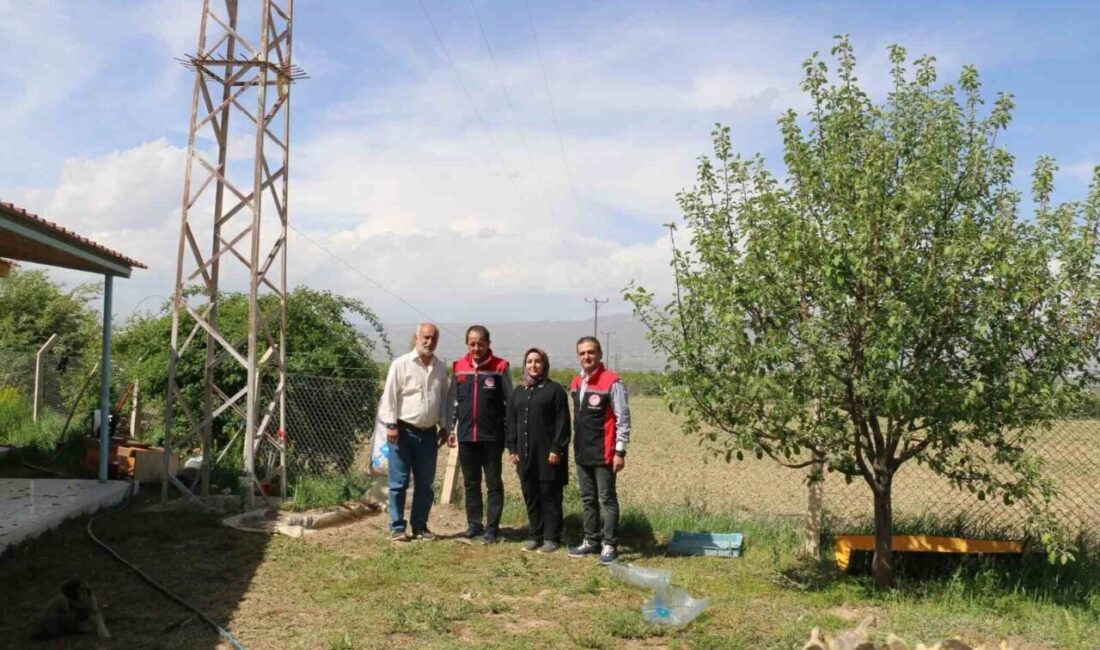 Erzincanlı akademisyen Genel Cerrahi Kolon ve Rekturn Cerrahisi Uzmanı Prof.