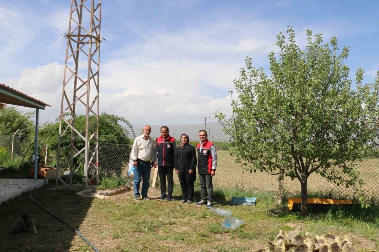 Erzincanlı akademisyen Genel Cerrahi Kolon ve Rekturn Cerrahisi Uzmanı Prof.