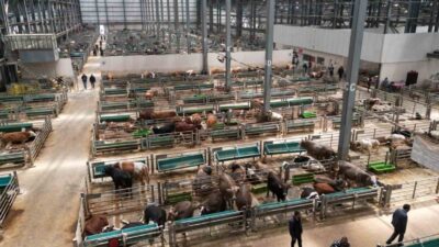 Erzurum Büyükşehir Belediyesi’nin en önemli yatırımlarından biri olan Doğu Anadolu