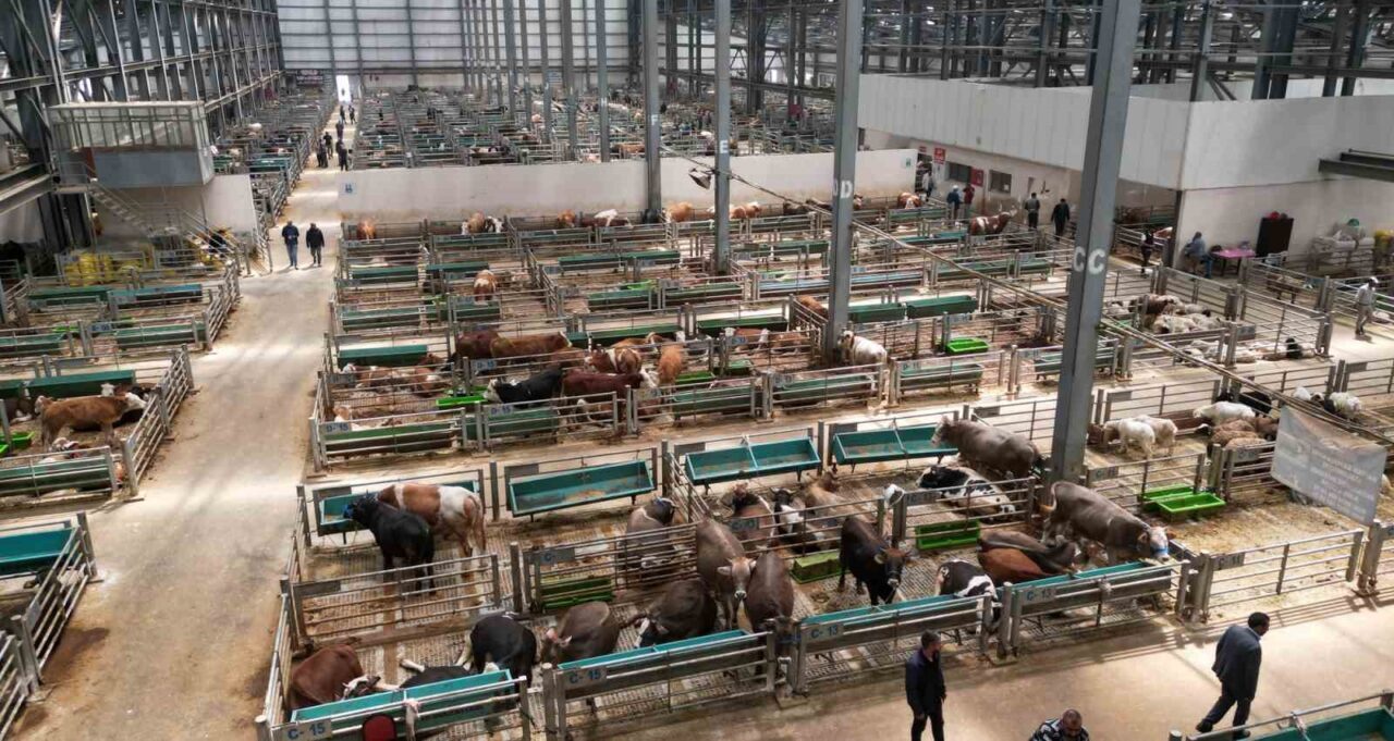 Erzurum Büyükşehir Belediyesi’nin en önemli yatırımlarından biri olan Doğu Anadolu