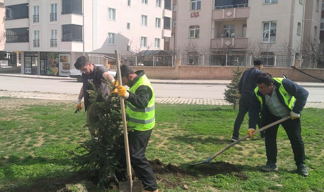 Bahar aylarının gelmesiyle beraber Bayburt Belediyesi’nin sahada görevli ekipleri çalışmalarını
