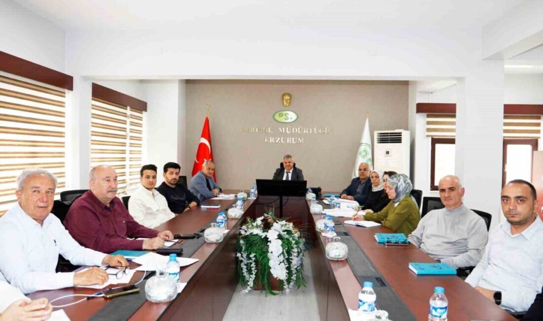 Erzurum’da Aksu ve Olur enerji projeleri kapsamında elektrik üretim lisansına