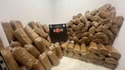 Amasya’da polisin düzenlediği operasyonda piyasa değeri 1.5 milyon TL olan
