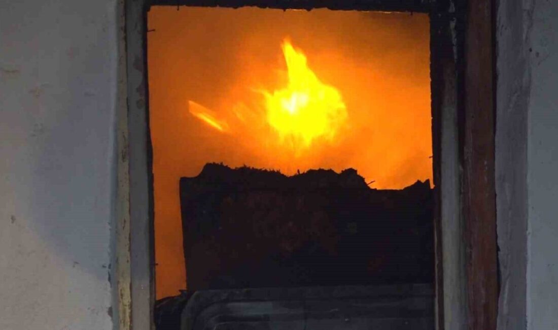 Amasya’nın Taşova ilçesinde bir evde çıkan yangın mahallede paniğe neden