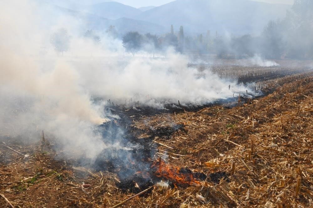 Son günlerde artan hava sıcaklıkları nedeniyle boş arazilerde çıkan yangınlara