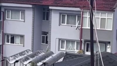 Sakarya’nın Erenler ilçesinde binanın çatısındaki antene sıkışan karga, itfaiye ekiplerinin