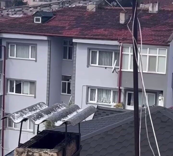 Sakarya’nın Erenler ilçesinde binanın çatısındaki antene sıkışan karga, itfaiye ekiplerinin