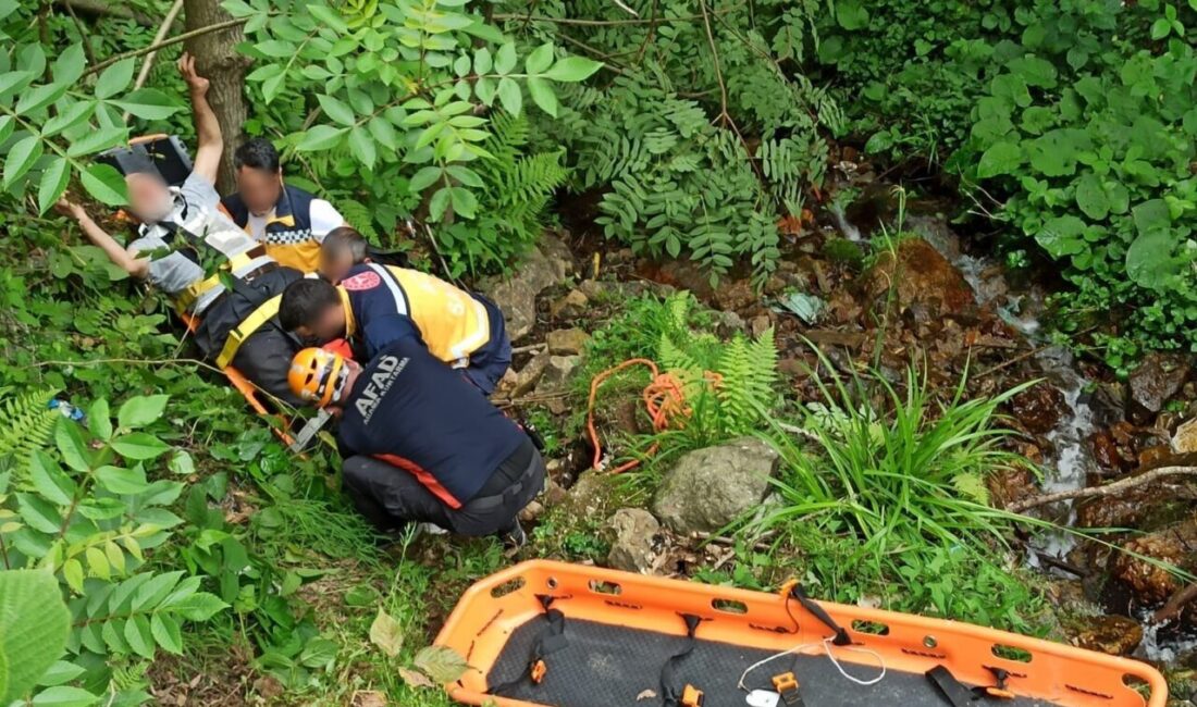 Rize’de arazide ağaç keserken ayağından yaralanan kişi, bulunduğu yerden hareket