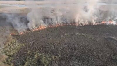 Sakarya’nın Karasu ilçesinde arazide kimliği belirsiz kişilerce yakılan ateş rüzgarın