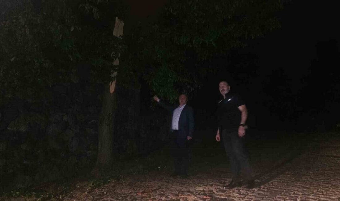 Artvin’in Arhavi, Hopa ve Kemalpaşa ilçelerinde akşam saatlerinde etkili olan