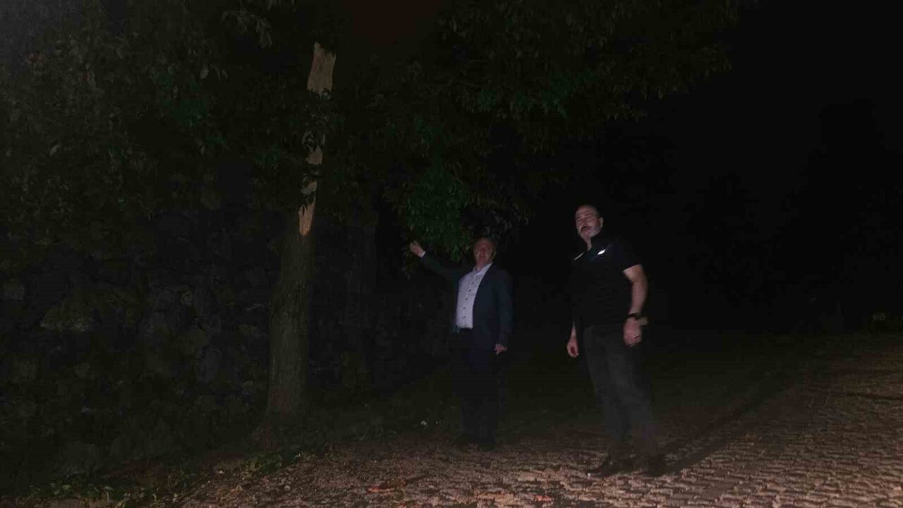 Artvin’in Arhavi, Hopa ve Kemalpaşa ilçelerinde akşam saatlerinde etkili olan