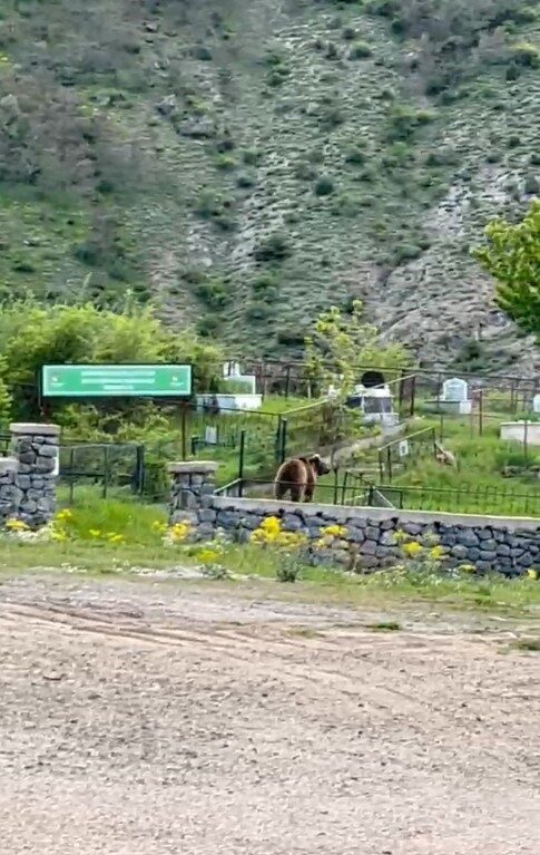 GÜMÜŞHANE (İHA) – Gümüşhane’de son dönemde sık sık vatandaşların yaşam