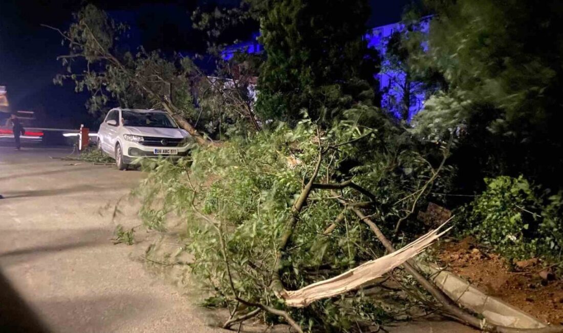 Artvin’in Arhavi, Hopa ve Kemalpaşa ilçelerinde etkili olan fırtına nedeniyle