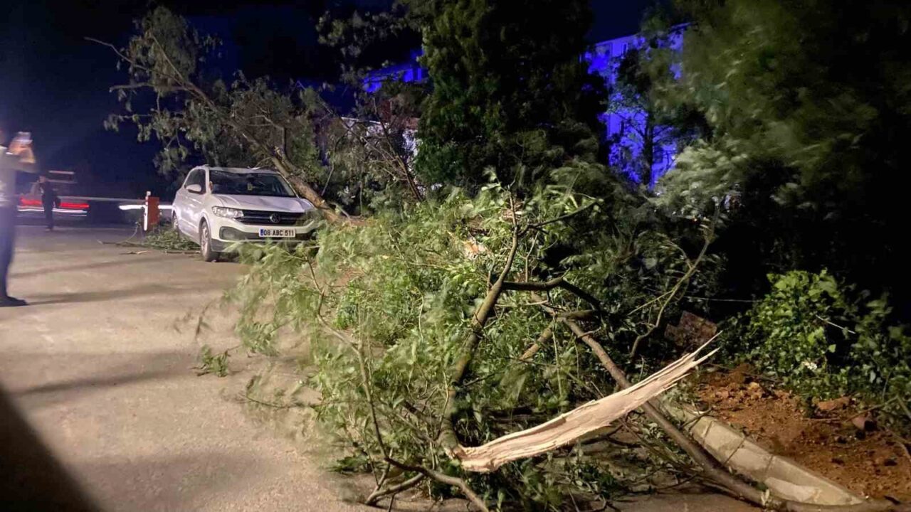 Artvin’in Arhavi, Hopa ve Kemalpaşa ilçelerinde etkili olan fırtına nedeniyle