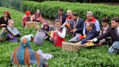 Tarım ve Orman Bakanı İbrahim Yumaklı, meteorolojik olayların çaya korktukları